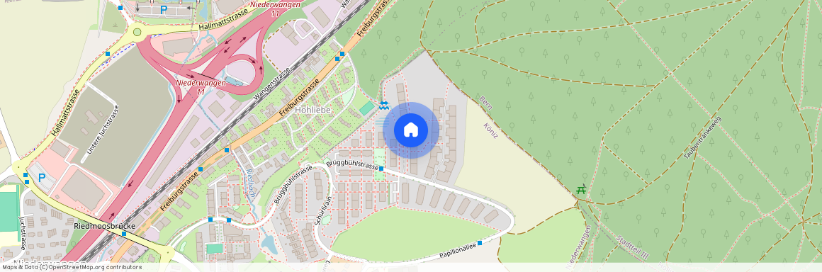 Papillonallee 3B, Niederwangen Be