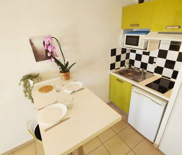 Location Appartement 1 pièce 22m² SIGNES 83870 - Photo 3