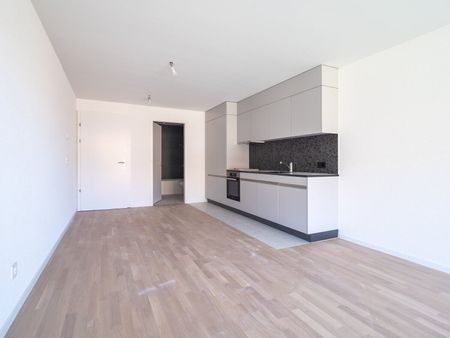 1.5 room apartment for rent - Photo 3