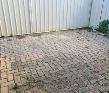 Balga - Photo 5