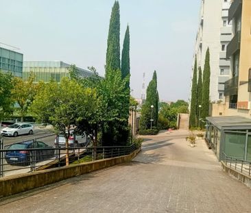 Loft de alquiler en Avenida Isla Graciosa, Polígono Industrial Norte - Photo 3