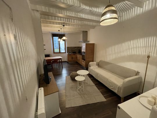 Location Appartement 2 pièces 40m² NIMES 30000 - Photo 1