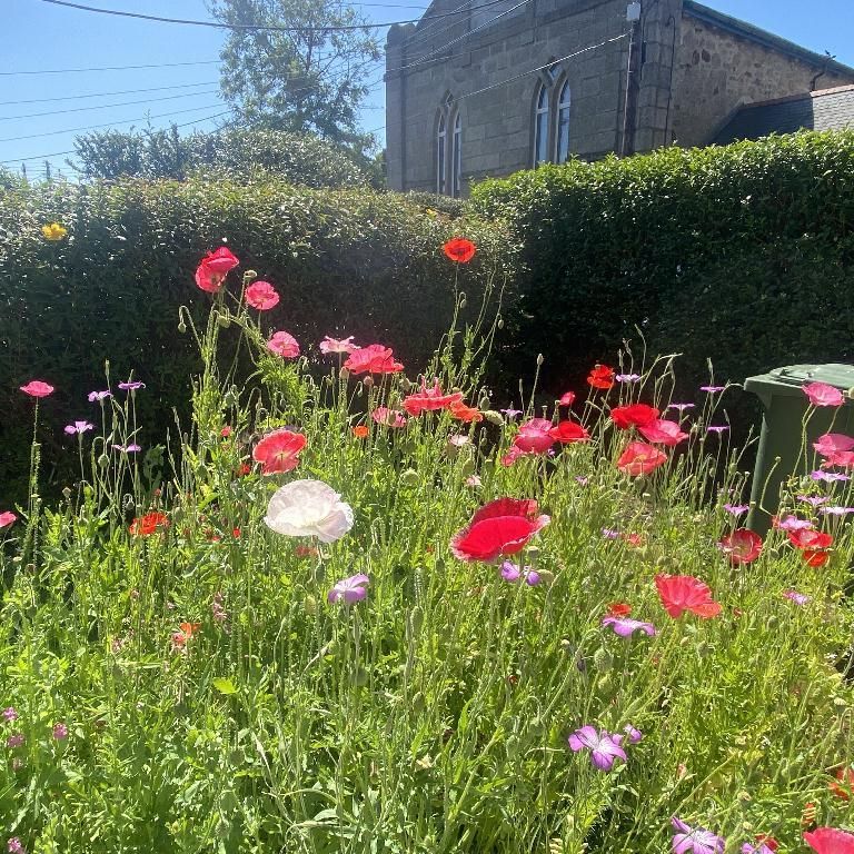 2 bedroom cottage to rent - Photo 1