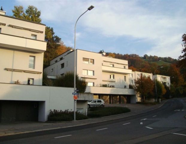 Living in a sunny location with a view of the lake - Photo 1