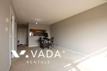 Unfurnished, 1 Bed 1 Bath Apartment For Rent - Photo 5