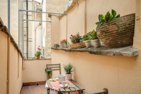 Canto dei Nelli - Photo 3