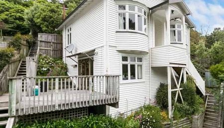 Mt Victoria views and privacy from your sunny deck - Photo 2