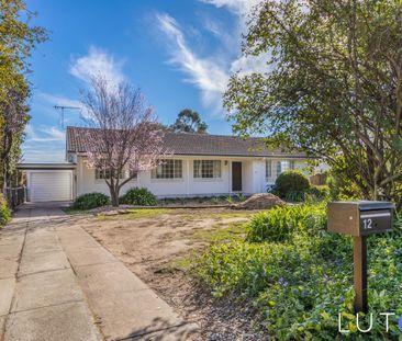 12 Curlewis Crescent, Garran ACT 2605 - House For Rent | Domain - Photo 6