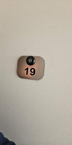 1 CH - 1 SDB - Montréal - $1,490 /mo - Photo 1