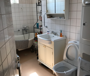 Svanegatan, Lund - Photo 4