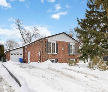 For Lease - 249 Hodgson Drive, Newmarket, Ontario - Photo 3