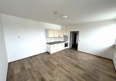 Pronájem bytu 3KK 52 m - Fotografie 5