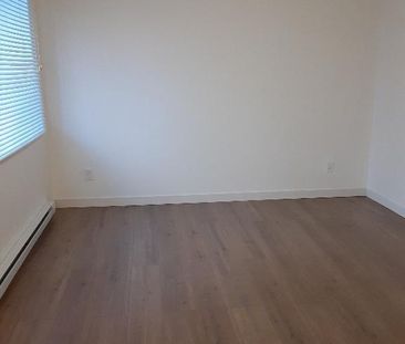 Saint-Rémi, 3 1/2 entièrement rénové à louer - Photo 2