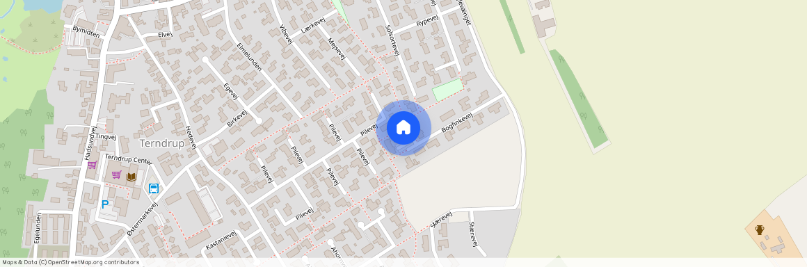 Bogfinkevej 52, 9575 Terndrup