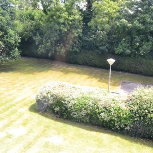 studio to rent Ladbroke Road, Redhill - Photo 2