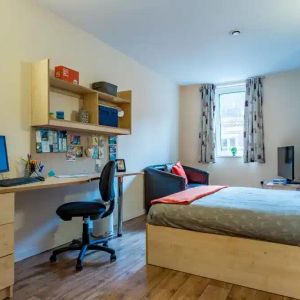 Single Studio - Photo 3