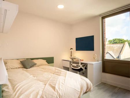 Luxury Studio - Photo 3