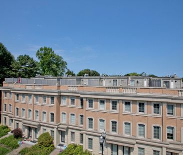 For Lease - 20 Hargrave Lane Unit# 12, Toronto, Ontario - Photo 6