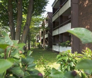 3 1/2 de Vimy - Tout inclus-près cégep Garneau- juillet - Photo 1