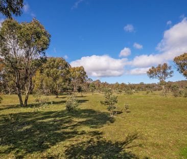 44a Hibberd Crescent, Forde ACT 2914 - Apartment For Rent | Domain - Photo 4