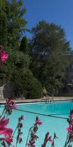 4 1/2 SILLERY PLAZA - PROMENADE CHAMPLAIN- libre ou novembre - Photo 3