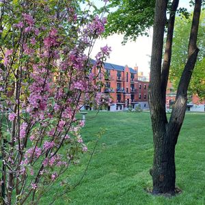 Jardins Des Saules - 1 Bedroom - 5530 Avenue Decelles, Montréal - Photo 3