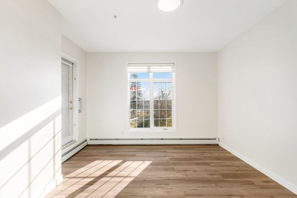 203-5201 Dalhousie Dr Nw - Photo 1