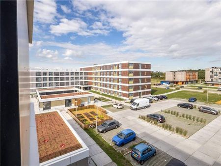 Appartement De Sperwer, Warande, Lelystad - À Louer - Foto 3