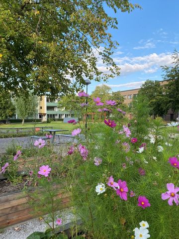 Hålsjögatan 39, Bellevuegården - Foto 4