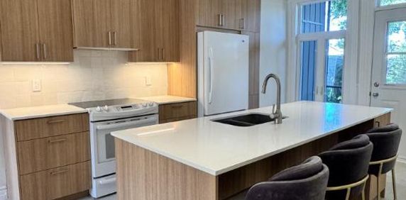 4 1/2 - Montréal (Centre-Sud) - 1 950 $/mois - Photo 2