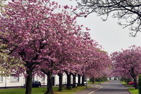 141 Merville Garden Village - Photo 3