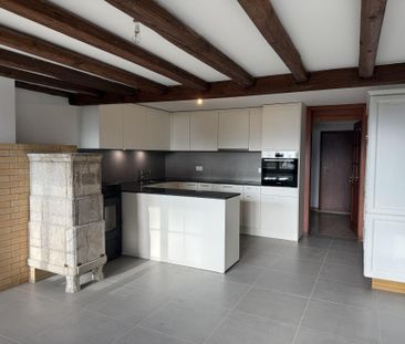 Bel appartement rénové avec jardin privatif - Photo 3