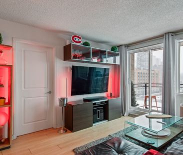 605 Rue Jean-D'Estrées, app.808, H3C 0G3, Montréal - Photo 6