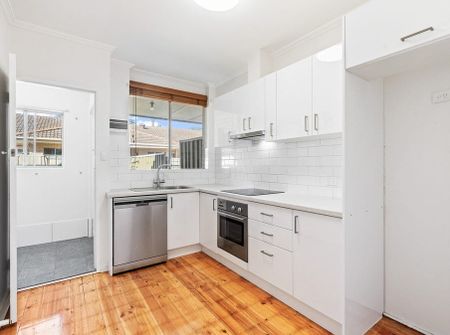2/64A Second Avenue, St Peters SA 5069 - Apartment For Rent | Domain - Photo 4