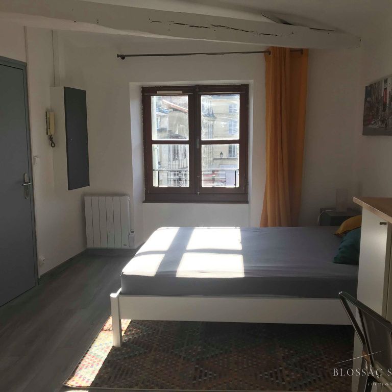 Location Appartement 1 pièce 18m² POITIERS 86000 - Photo 2