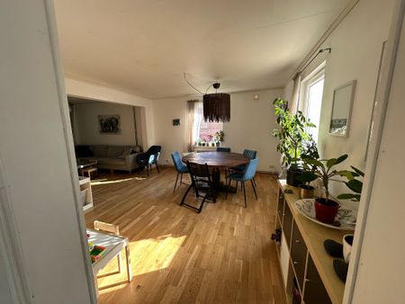 Ekebergsvägen, Getinge - Photo 4