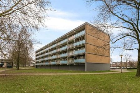 Leimuidenplaats 0ong 6843 JV Arnhem - Photo 3