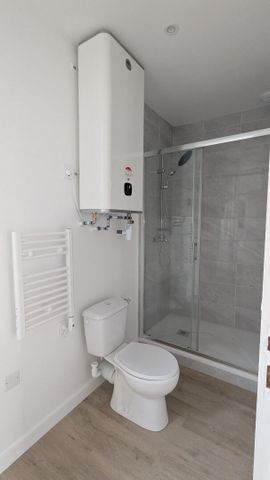 Location Appartement 1 pièce 25m² - Photo 3