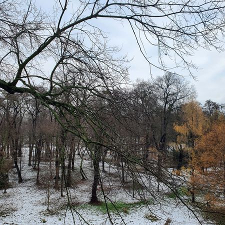 Pokój, ul. Popowicka - Photo 5