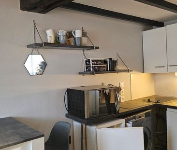 Location Appartement 1 pièce 18m² FONTAINEBLEAU 77300 - Photo 1