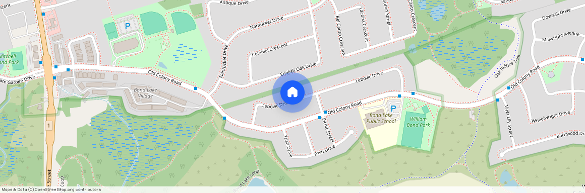 54 Lebovic Lower Drive Unit# Basement, Richmond Hill