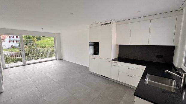 Neubau-Wohnung mit Balkon in Zullwil - Photo 1