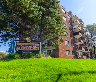 Carrefour Dorval - 1 Bedroom - Photo 6