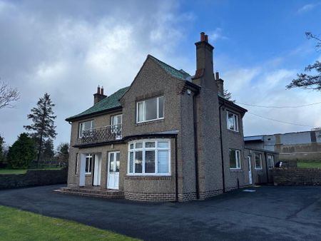 117 Hillsborough Road, Dromore, BT25 1QW - Photo 2
