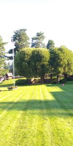 TALLVÄGEN 1 F - Foto 3