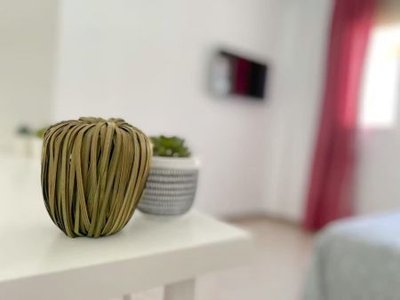 Calle el Pedroso, Sevilla, Andalusia 41008 - Photo 3