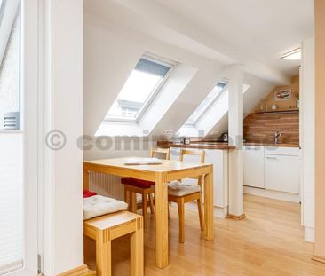 Perfect Single Living - Photo 3