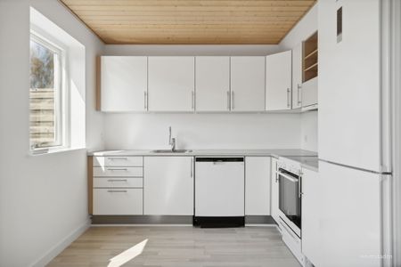 Labofaparken 38, 4230 Skælskør - Foto 3