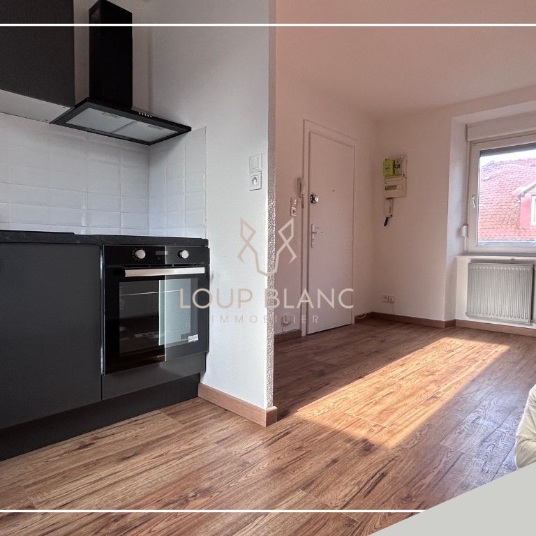 Location Appartement 2 pièces 28m² AUDINCOURT 25400 - Photo 1
