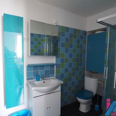 Location Appartement 1 pièce 26m² AVON 77210 - Photo 3
